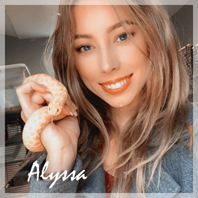 Alyssa