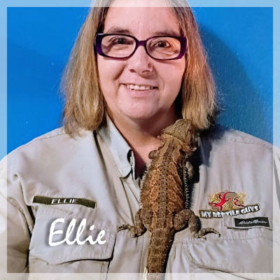 ELLIE