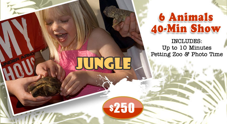 JUNGLE