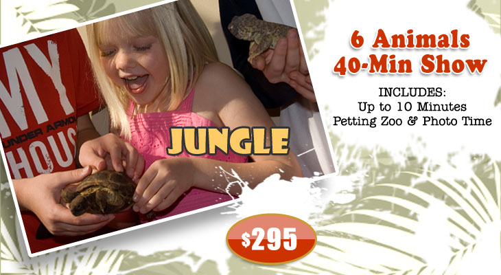 JUNGLE